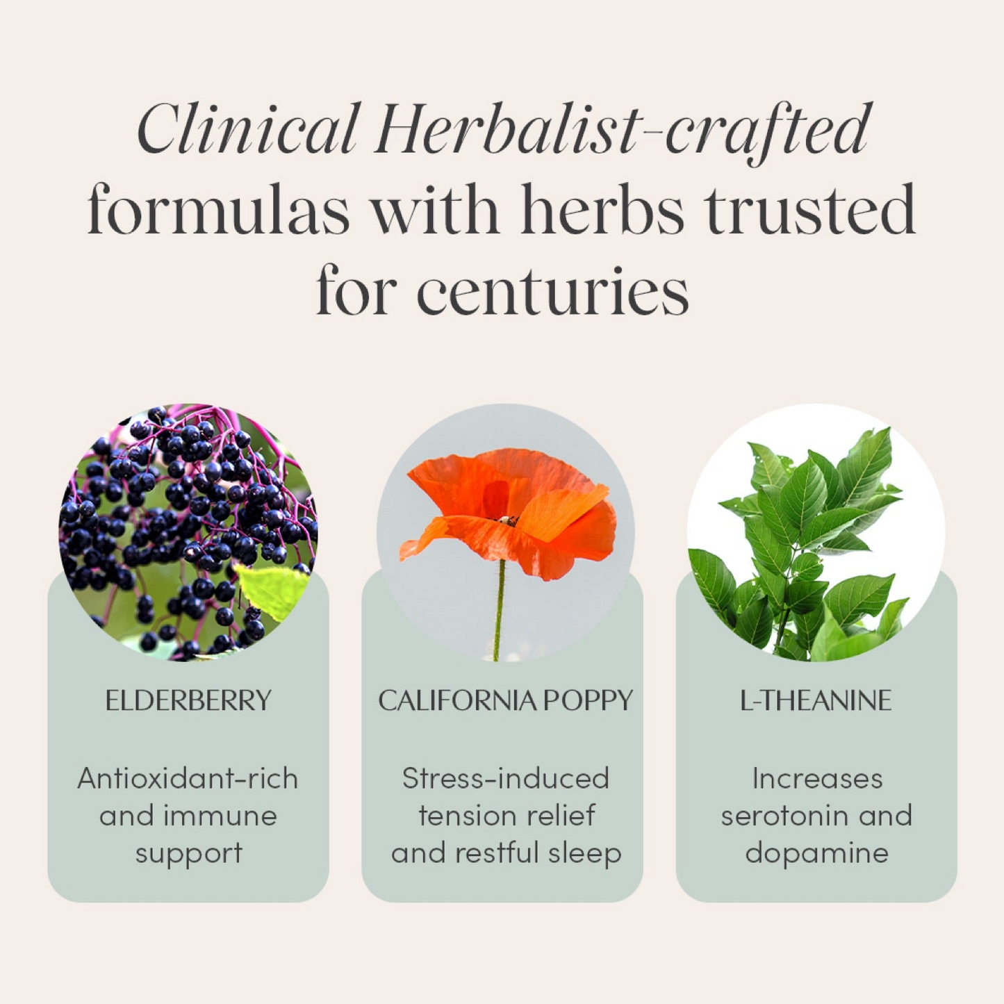 Bulancy Wine Down™